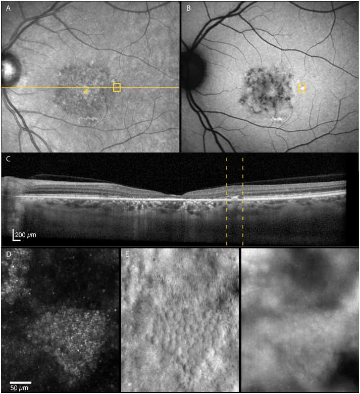 Figure 6