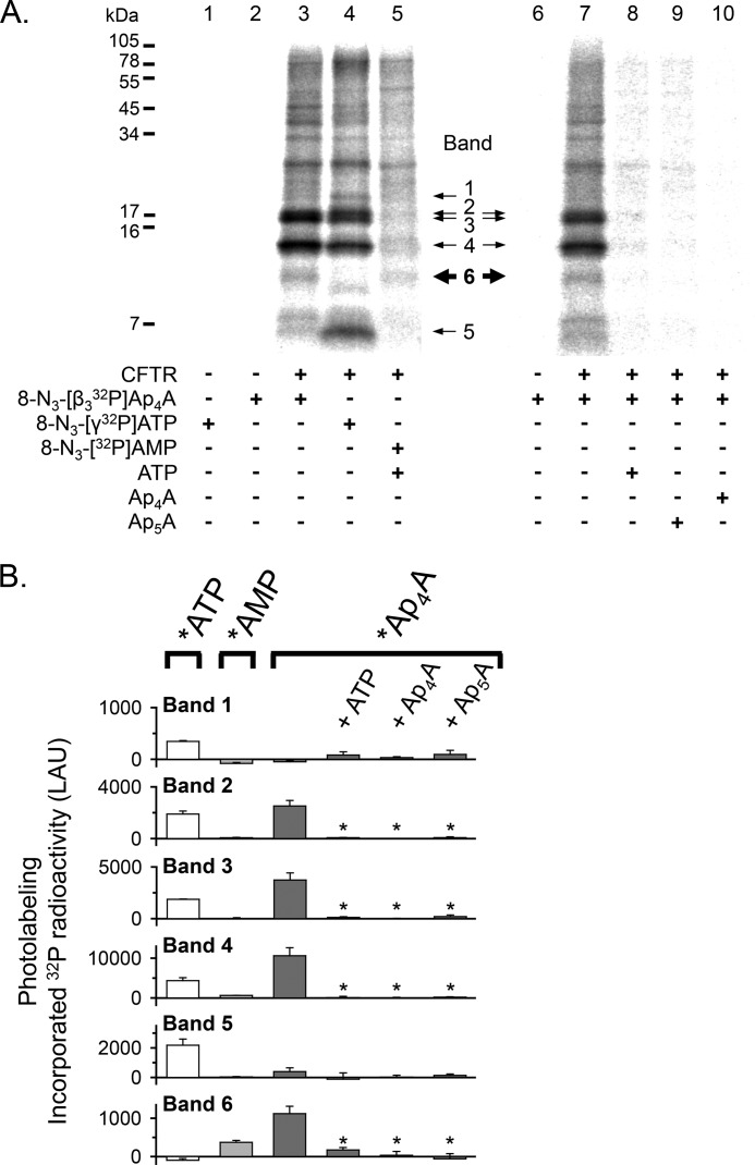 FIGURE 7.