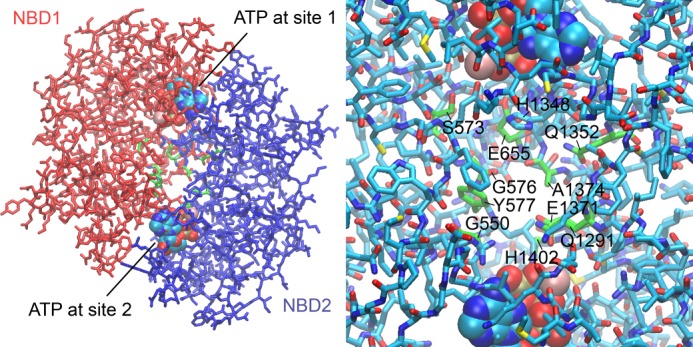 FIGURE 10.