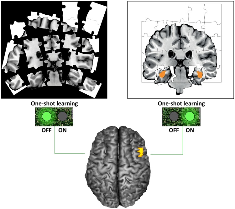 Fig 1