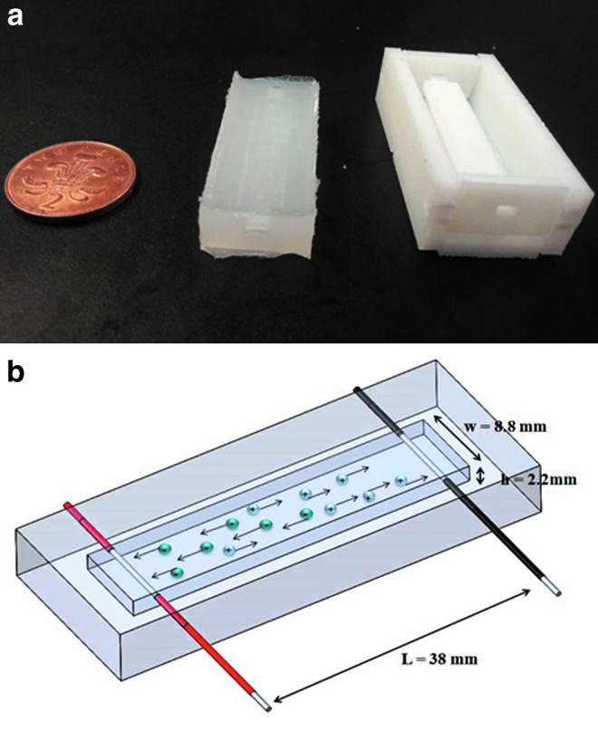 FIG. 2.