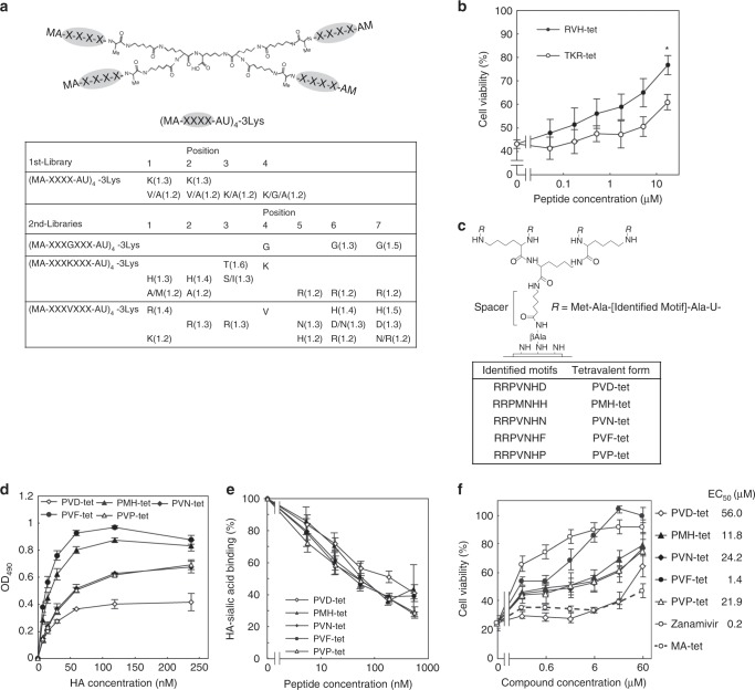 The inducible amphisome isolates viral hemagglutinin and defends ...