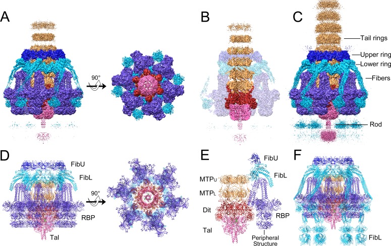 Fig 2