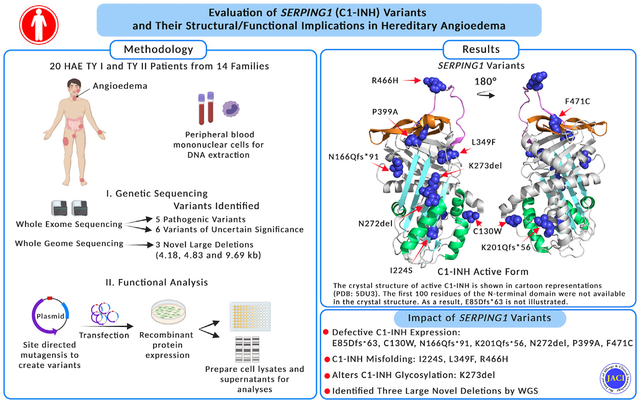 graphic file with name nihms-1925128-f0001.jpg