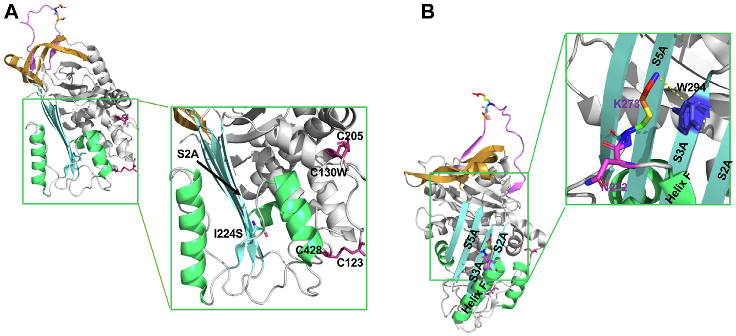 FIG 4.