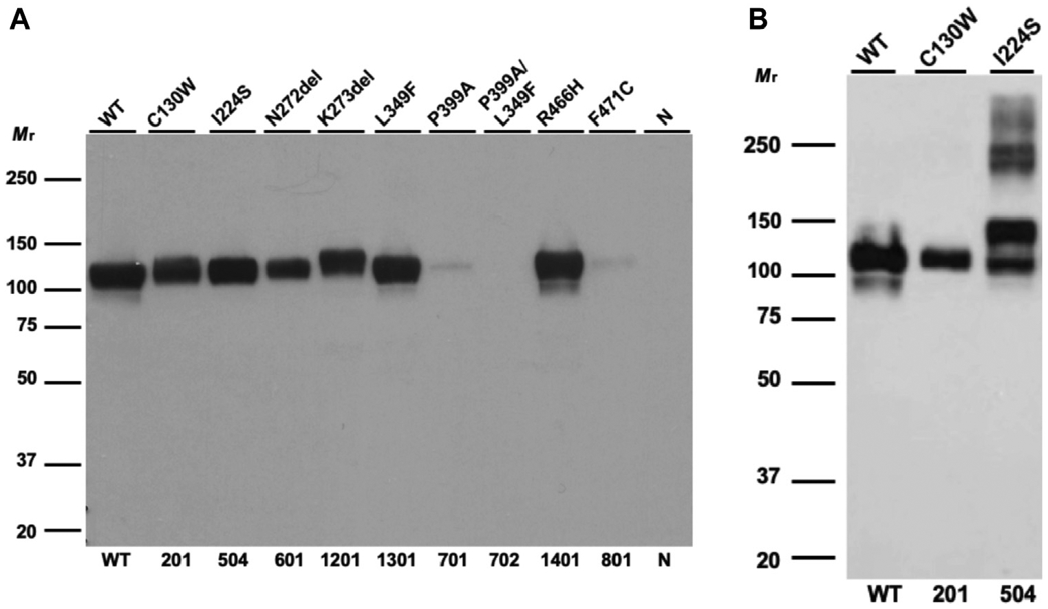 FIG 3.