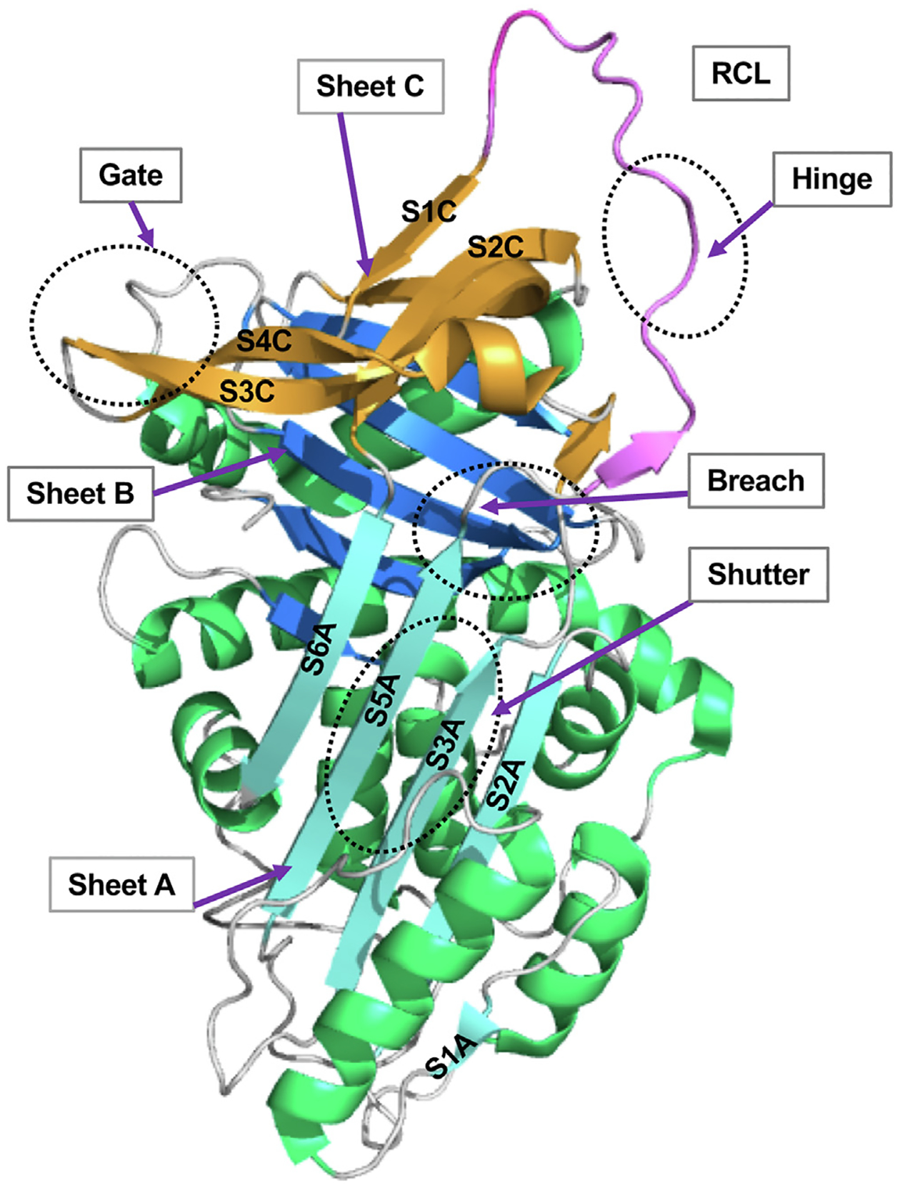 FIG 2.