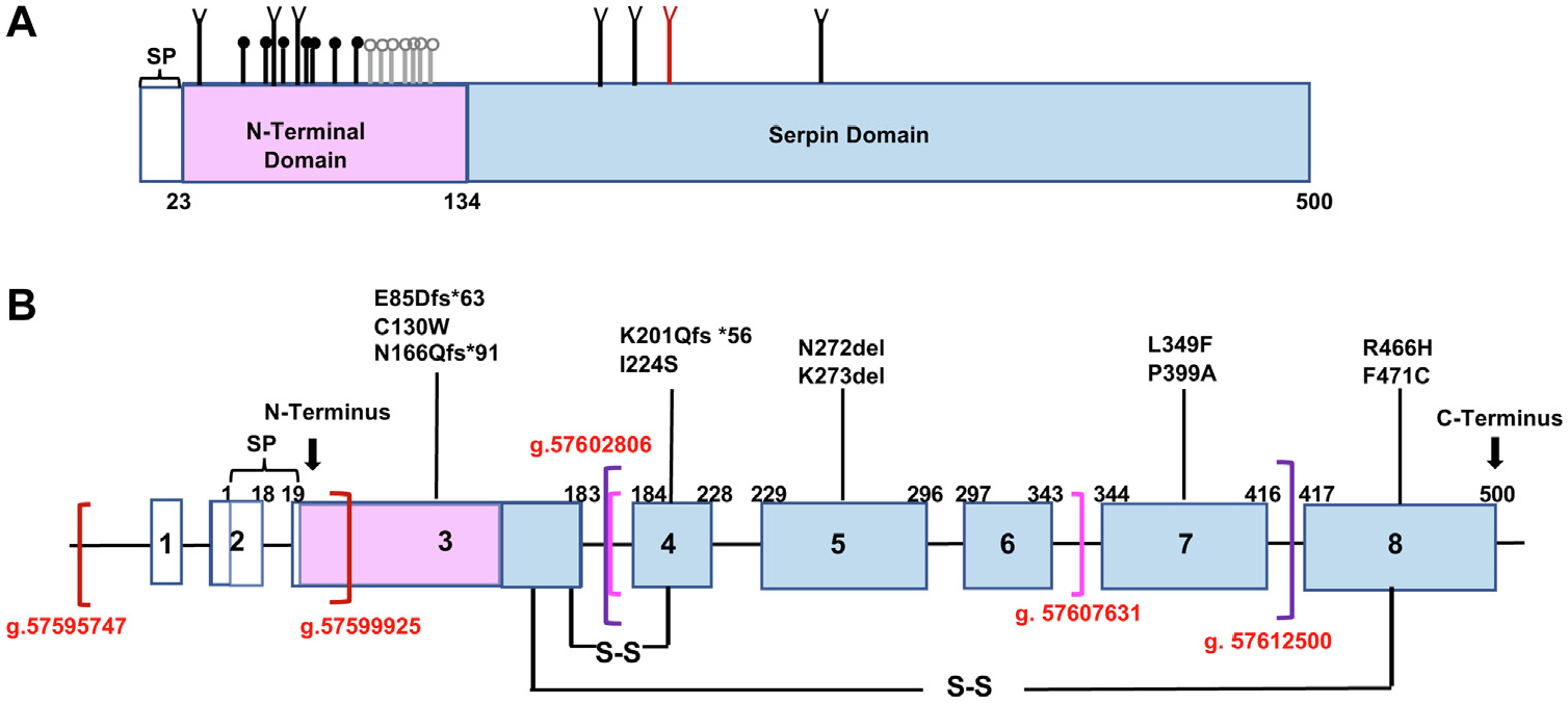 FIG 1.