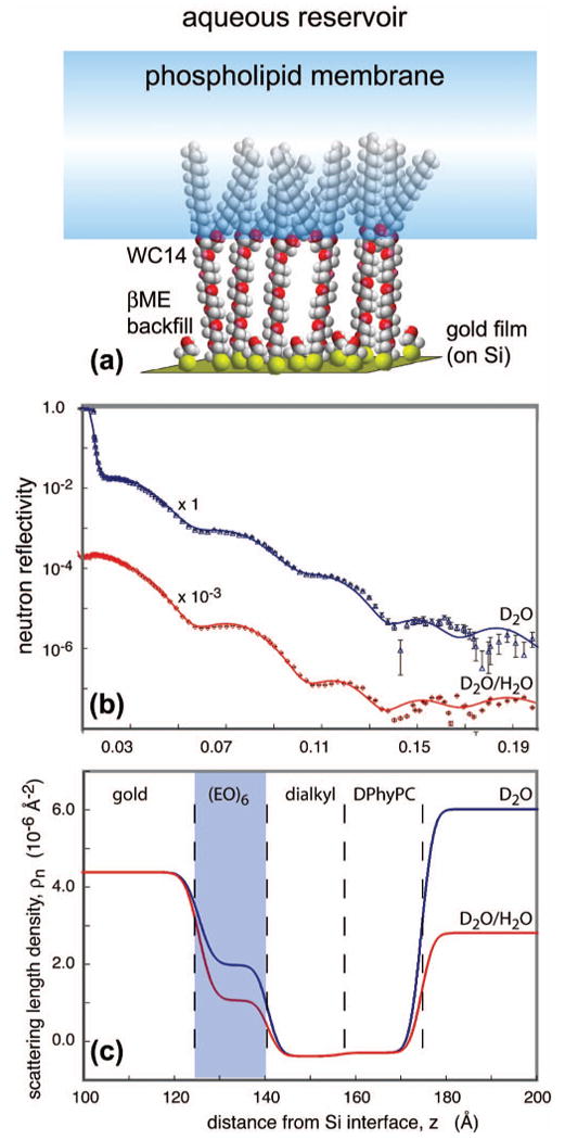 FIG. 12