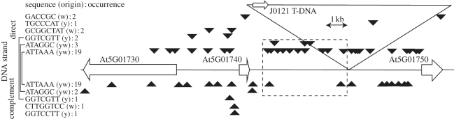 Figure 4.