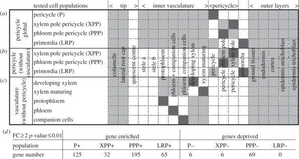 Figure 2.