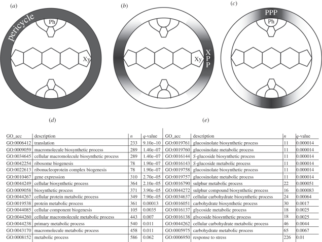 Figure 1.