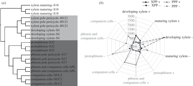 Figure 3.