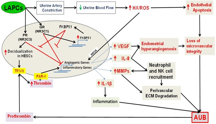 Fig 7