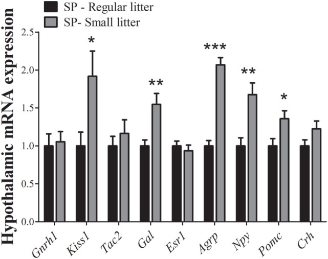 Figure 5