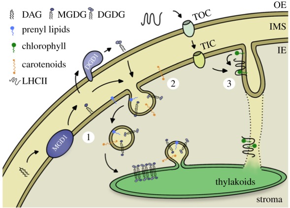 Figure 3.