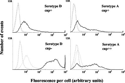 FIG. 1.