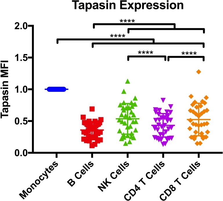 Figure 4—figure supplement 1.