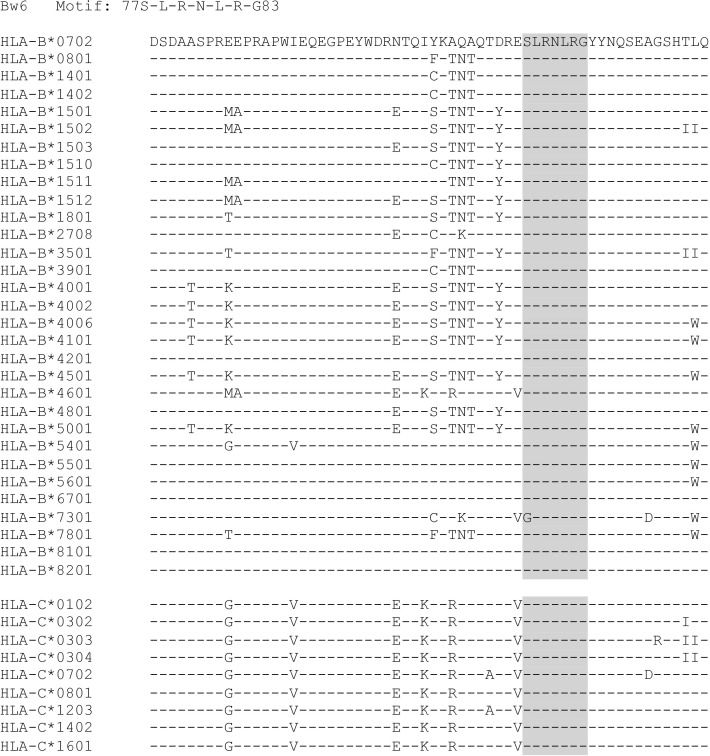 Figure 1—figure supplement 3.