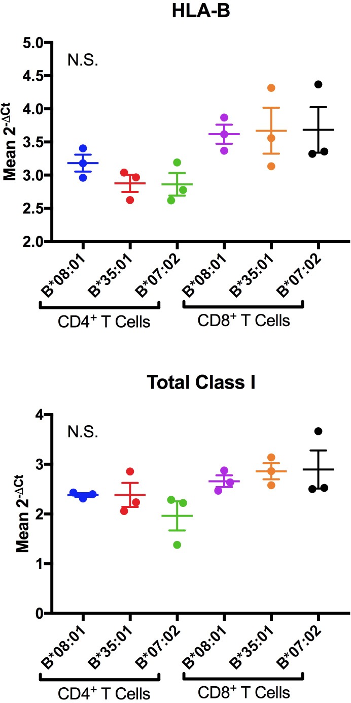 Figure 1—figure supplement 4.