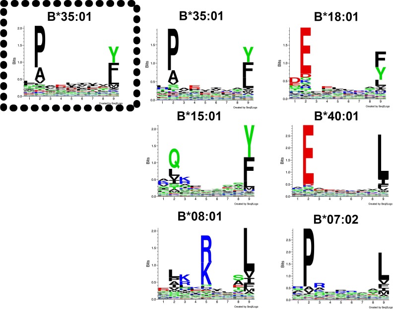 Figure 1—figure supplement 1.