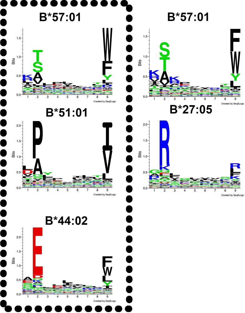 Figure 6—figure supplement 3.