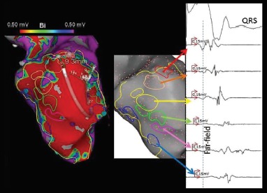 Figure 4: