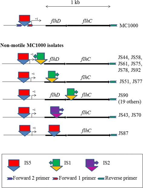 Fig. 3