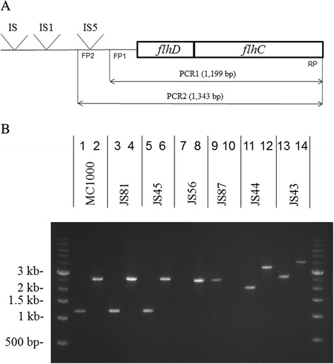 Fig. 2