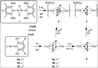 Scheme 2