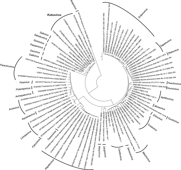 Fig. 1