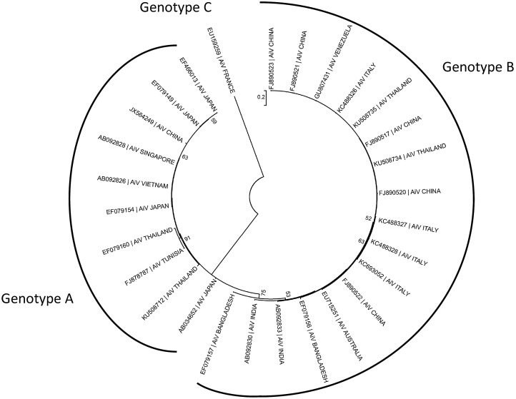 Fig. 2