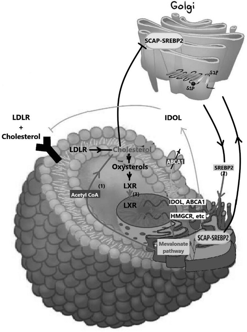 Fig. 3