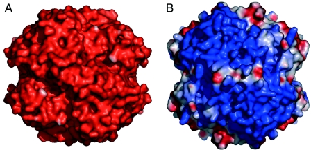 FIG. 7.