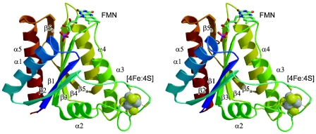 FIG. 1.