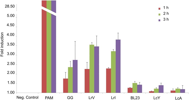 Fig 3