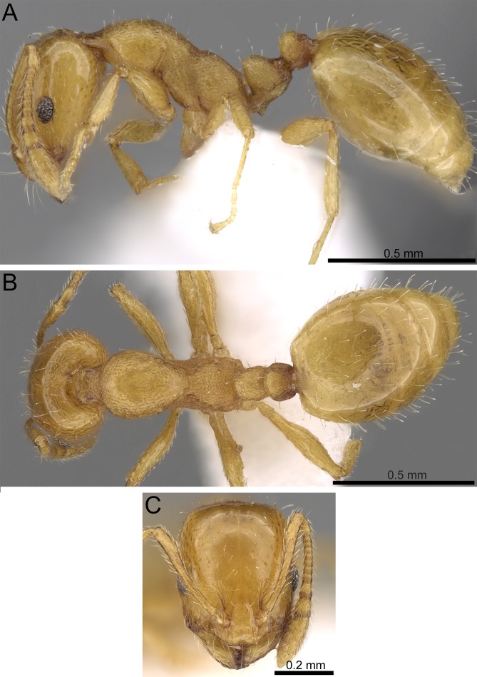 Figure 10