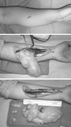 Figure 2)