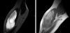 Figure 3)