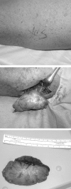 Figure 6)