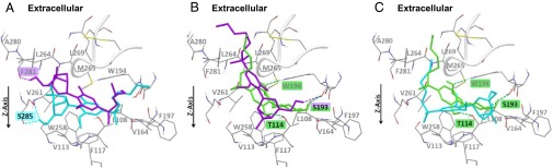 Fig. 6.