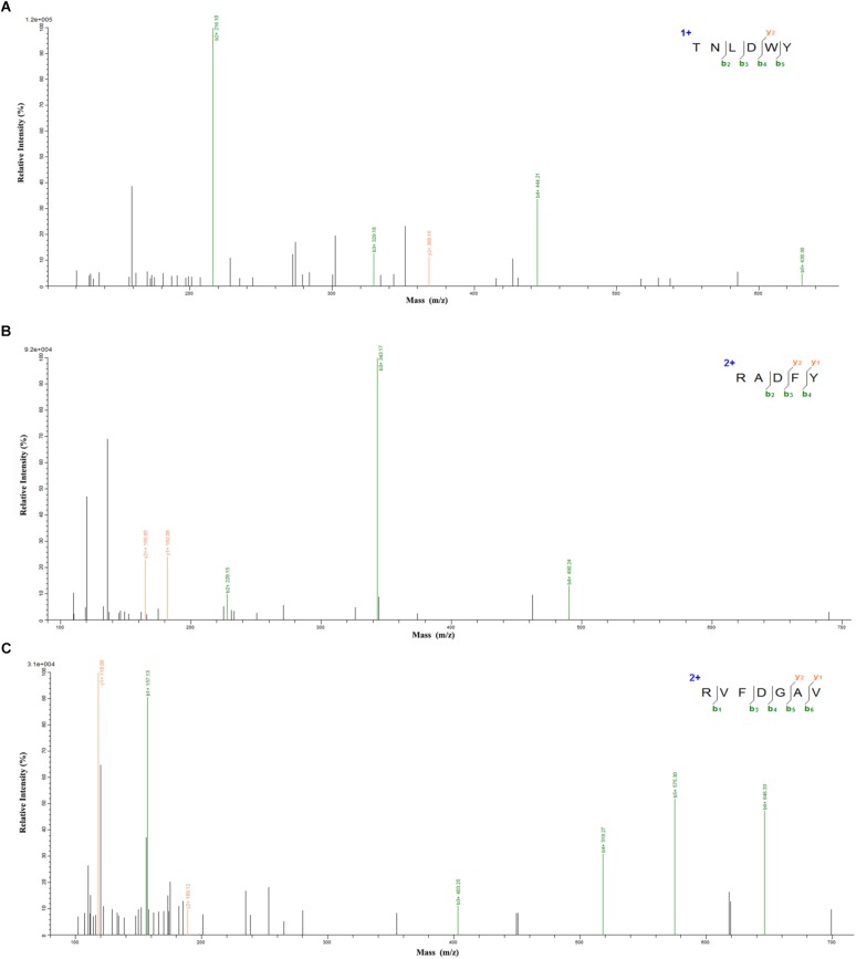 FIGURE 3