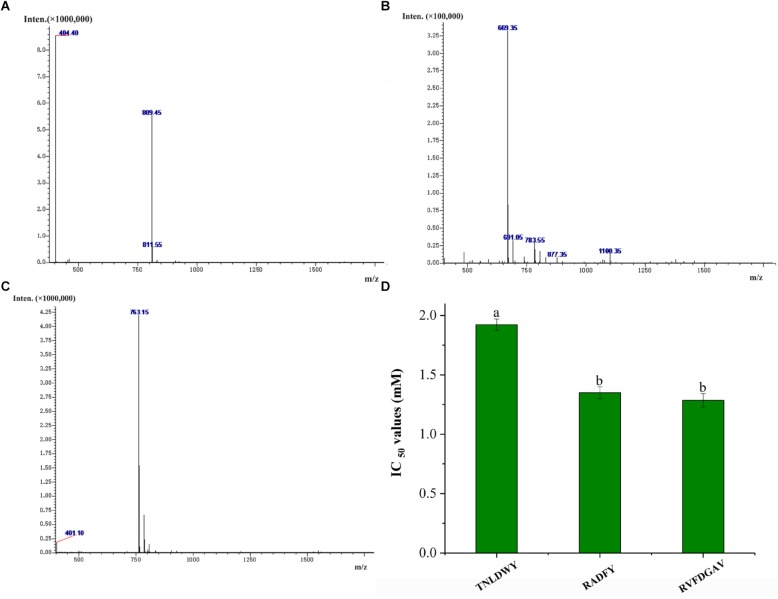 FIGURE 4