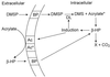 FIG. 6