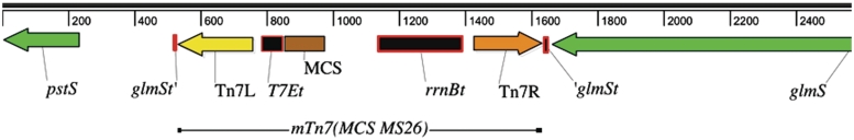 Figure 2.