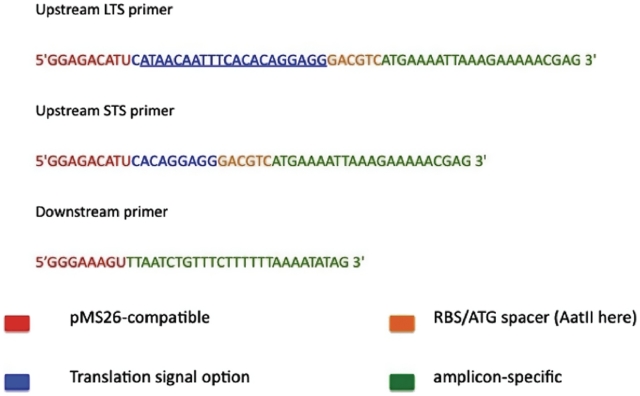 Figure 4.