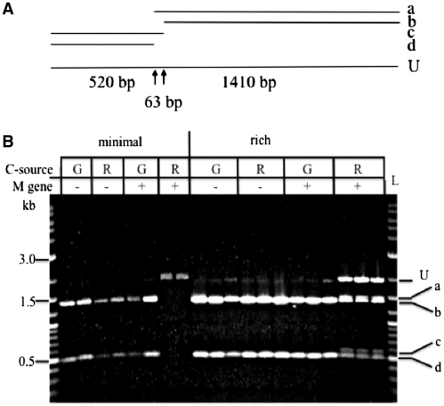 Figure 6.