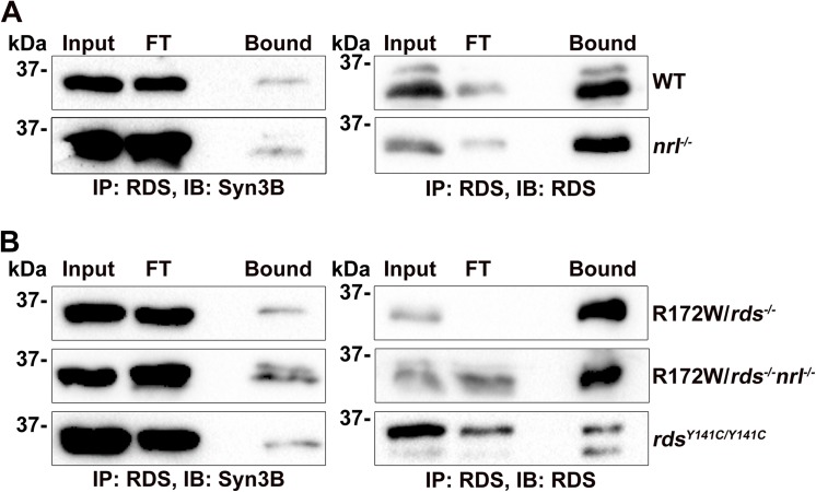 Fig 8