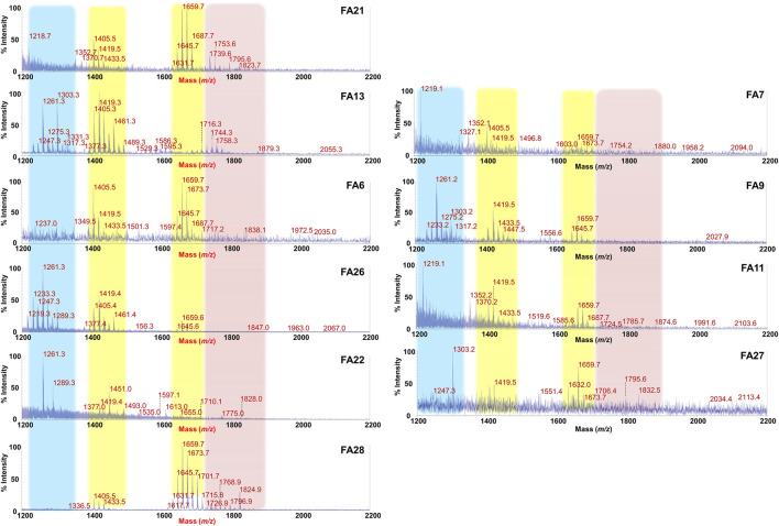 FIGURE 3