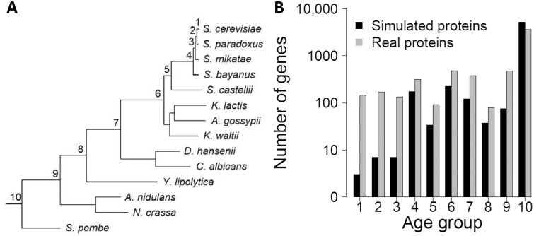 Fig. 1.